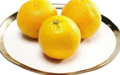KARE Design Bord Bell Ø25cm Online