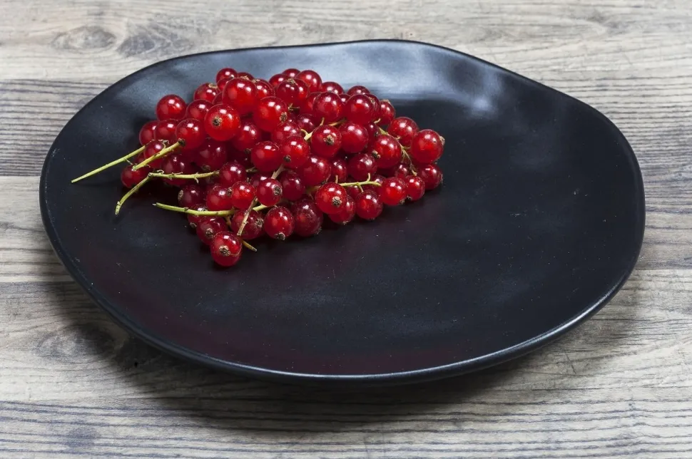 KARE Design Bord Organic Zwart Ø20cm Hot