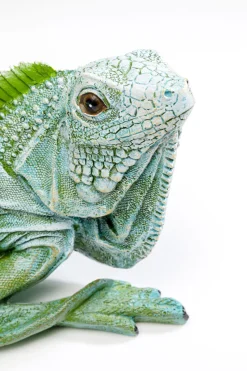 KARE Design Decofiguur Lizard Green 35cm Online
