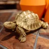 KARE Design Decofiguur Schildpad Goud Klein Shop