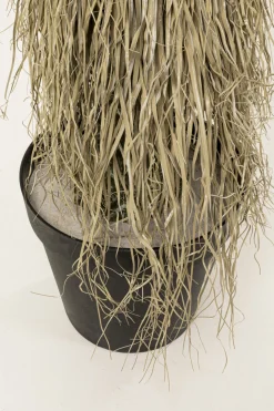 KARE Design Deco Plant Yucca Rostrata 240cm Shop