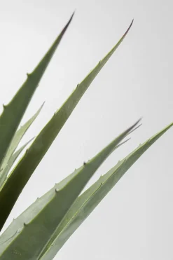 KARE Design Kunstplant Agave 85cm Fashion