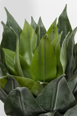 KARE Design Kunstplant Agave 120cm Shop