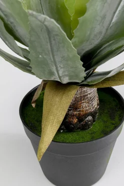 KARE Design Kunstplant Agave 40cm Sale