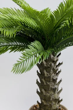 KARE Design Kunstplant Cycas 70cm Best