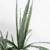 KARE Design Kunstplant Dragon Tree 155cm Shop