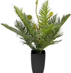 KARE Design Kunstplant Farn 55cm Fashion