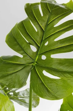 KARE Design Kunstplant Monstera 110cm Online