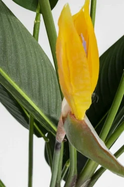 KARE Design Kunstplant Paradise Flowers 190cm New
