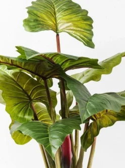 KARE Design Kunstplant Rainforest Groen 160cm Discount