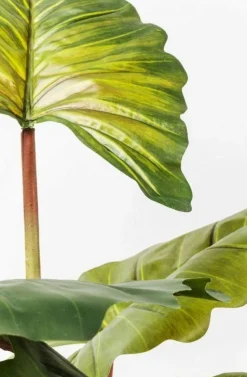 KARE Design Kunstplant Rainforest Groen 160cm Discount