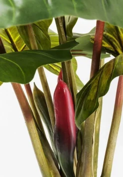 KARE Design Kunstplant Rainforest Groen 160cm Discount