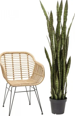 KARE Design Kunstplant Sansevieria 155cm Cheap