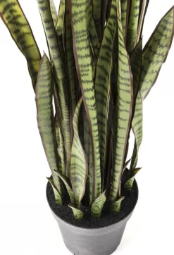 KARE Design Kunstplant Sansevieria 155cm Cheap