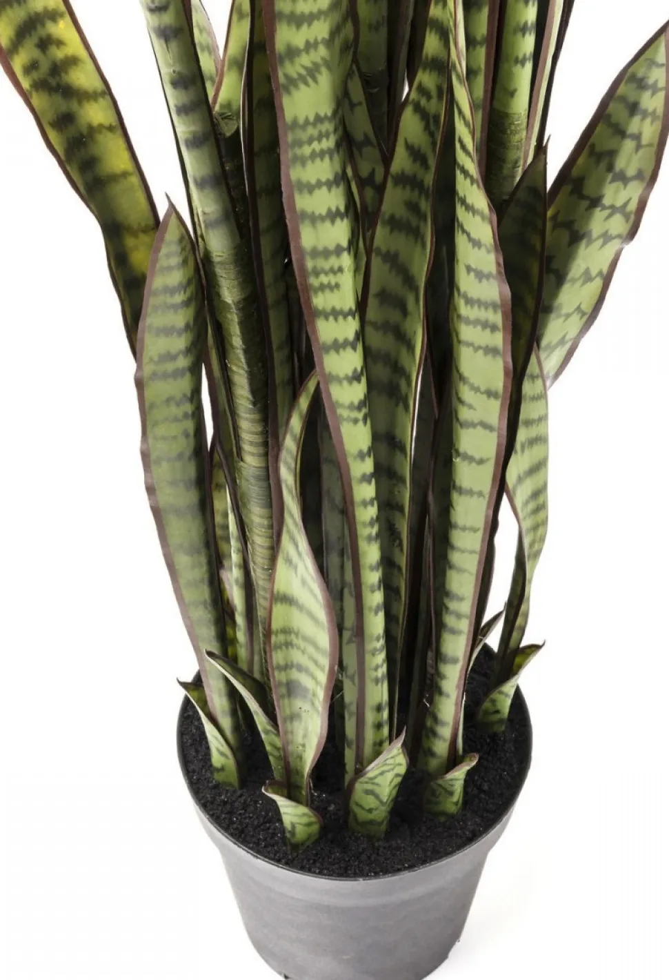 KARE Design Kunstplant Sansevieria 155cm Cheap