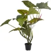 KARE Design Kunstplant Taro 180cm New