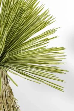 KARE Design Kunstplant Yucca 180cm Store
