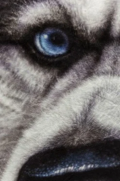 KARE Design Kussen Hond Gezicht Groot Hot