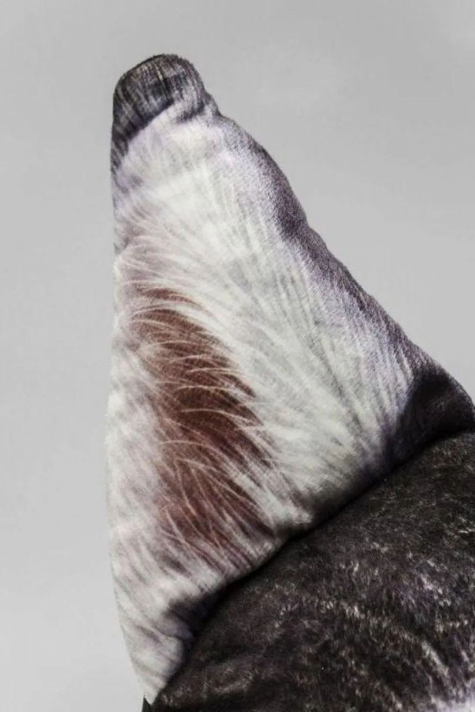 KARE Design Kussen Hond Gezicht Groot Hot
