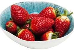KARE Design Schaal Mustique Ø17cm Flash Sale
