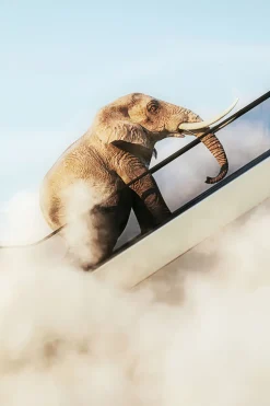 KARE Design Schilderij Elephant In The Sky 150x100cm Hot