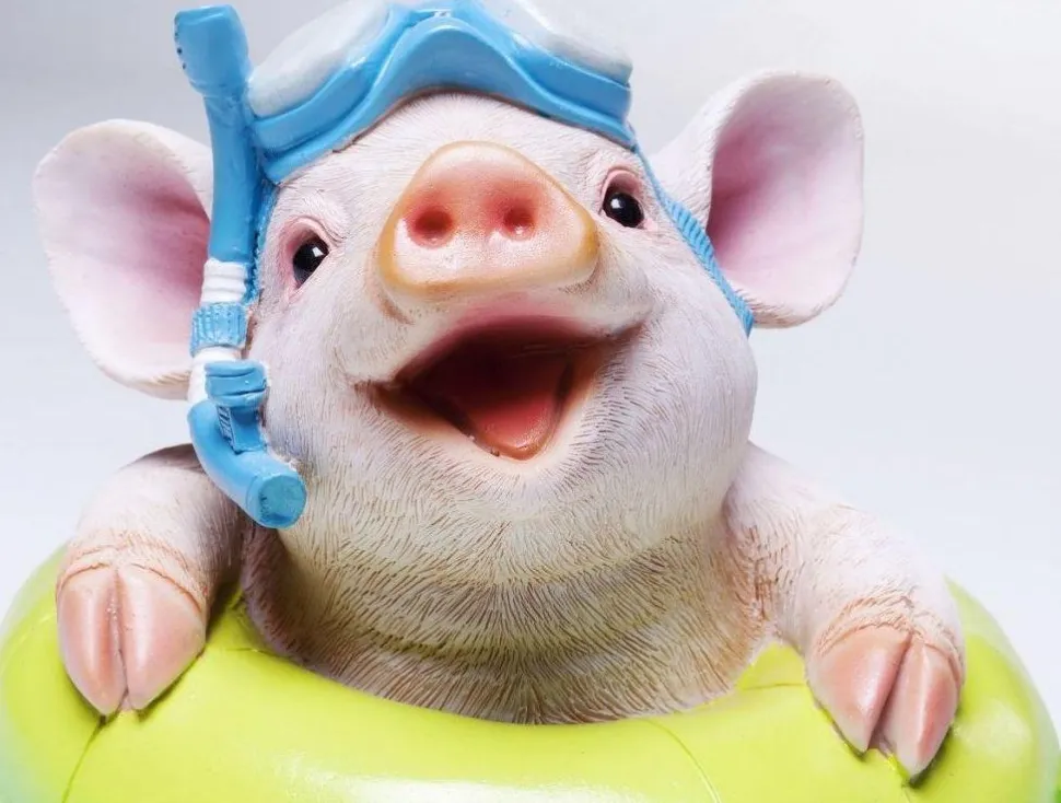 KARE Design Spaarpot Floating Pig Online