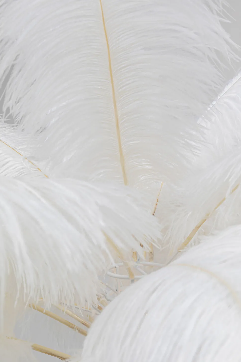 KARE Design Vloerlamp Feather Palm White 165cm Cheap