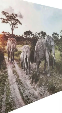 KARE Design Wandfoto Glass Elephant Family Shop